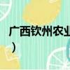 廣西欽州農業學校怎么樣（廣西欽州農業學校）