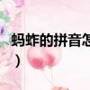 螞蚱的拼音怎么寫的拼音怎么讀（螞蚱的拼音）