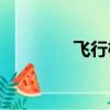 飛行棋 apk（飛行棋外掛）