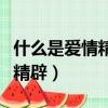 什么是愛情精辟搞笑的回答句子（什么是愛情精辟）