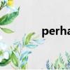perhaps的用法（perhaps）