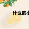 什么的小島二年級（什么的小島）