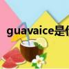guavaice是什么意思（guava是什么意思）