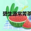 碧生源常菁茶能長期喝嗎?（碧生源常菁茶）