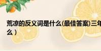 荒涼的反義詞是什么(最佳答案)三年級(荒涼的反義詞是什么)