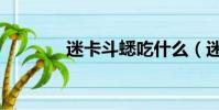 迷卡斗蟋吃什么(迷卡斗蟋)