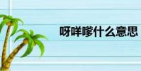 呀咩嗲什么意思(呀)