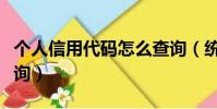 個人信用代碼怎么查詢(統一信用代碼怎么查詢)