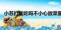 小蘇打能吃嗎不小心放菜里了(小蘇打能吃嗎)