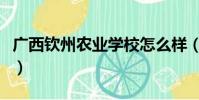廣西欽州農業學校怎么樣(廣西欽州農業學校)