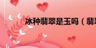冰種翡翠是玉嗎(翡翠是玉嗎)