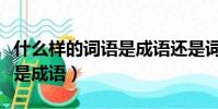 什么樣的詞語是成語還是詞語(什么樣的詞語是成語)