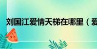 劉國江愛情天梯在哪里(愛情天梯在哪里)
