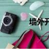 墻外開花墻內香（墻外開花）