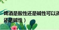 啤酒是酸性還是堿性可以澆花嗎(啤酒是酸性還是堿性)