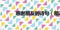 感謝朋友的詩句(朋友的詩句)