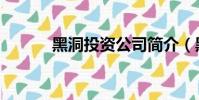 黑洞投資公司簡介(黑洞投資)