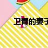 衛青的妻子是哪個公主（衛青的妻子）