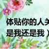 體貼你的人關心你的人是我是我還是我（是我是我還是我）