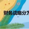 財務戰略分為哪幾種類型（財務戰略類型）