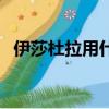伊莎杜拉用什么套裝好（伊莎杜拉的魔杖）