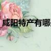咸陽特產有哪些土特產可以帶走（咸陽特產）