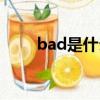 bad是什么意思（bed是什么意思）