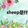 sheep是什么意思（sheet是什么意思）