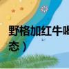 野格加紅牛喝多了怎么辦（野格配紅牛喝完狀態）