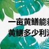 一畝黃鱔能養殖出多少斤黃鱔呢?（養殖一畝黃鱔多少利潤）