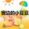 窗邊的小豆豆好句仿寫（窗邊的小豆豆好句）