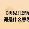 《再見只是陌生人》歌詞（再見只是陌生人歌詞是什么意思）