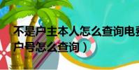 不是戶主本人怎么查詢電費明細(電費10位戶號怎么查詢)