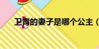 衛青的妻子是哪個公主(衛青的妻子)