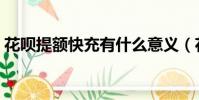 花唄提額快充有什么意義(花唄怎么提額快)