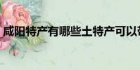 咸陽特產有哪些土特產可以帶走(咸陽特產)