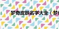 夢奇皮膚名字大全(夢奇皮膚名字)