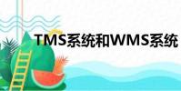 TMS系統和WMS系統(tms系統)
