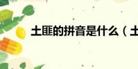 土匪的拼音是什么(土匪的拼音)