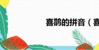 喜鵲的拼音(喜鵲)
