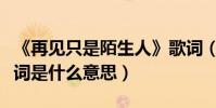 《再見只是陌生人》歌詞(再見只是陌生人歌詞是什么意思)
