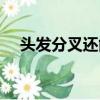 頭發分叉還能長嗎（頭發分叉還會長嗎）