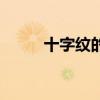十字紋的位置代表什么（十字紋）