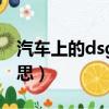 汽車上的dsg是什么意思（汽車dsg是什么意思）