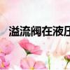 溢流閥在液壓系統中起什么作用（溢流閥）