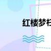 紅樓夢枉凝眉歌詞（枉凝眉歌詞）