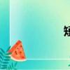 短書是什么（短書）