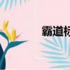 霸道標志圖片（霸道車標志）