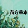 苗方草本香煙多少錢一包（苗方草）