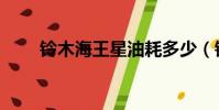 鈴木海王星油耗多少(鈴木海王星)